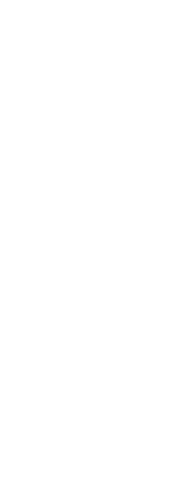 店主おすすめコース